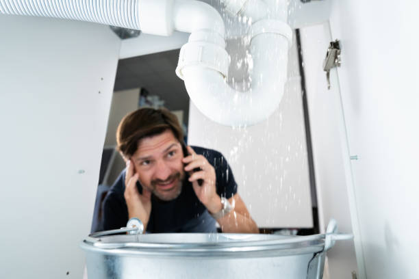 Best Leak Detection Services  in Brinkley, AR